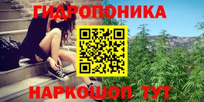 a pvp Пугачёв