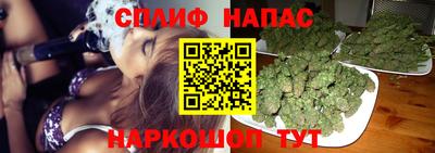 молекула духа Пушкино