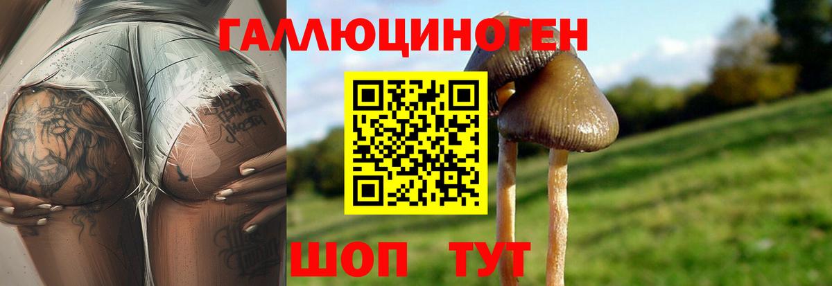Галлюциногенные грибы Magic Shrooms Самара